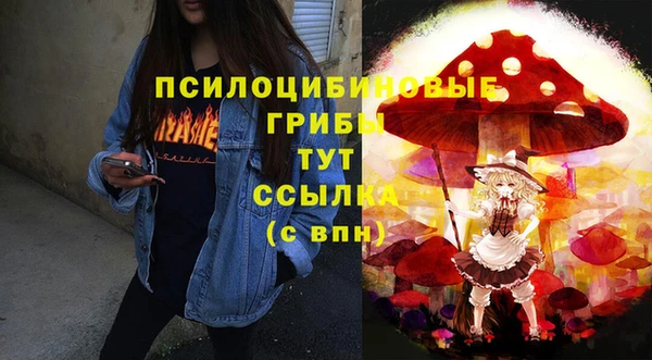 таблы Шали