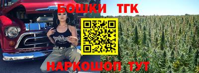 мдпв Гусев