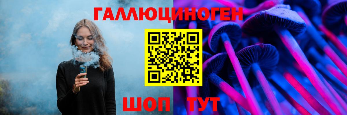 Клинцы  Псилоцибиновые грибы Cubensis  Вход с VPN 